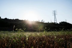 西班牙公布 4 月大停电原因，部分电厂未调节电网电压