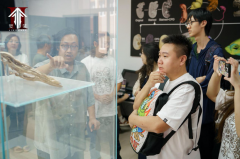 当科学家给国漫主创“开小灶”
